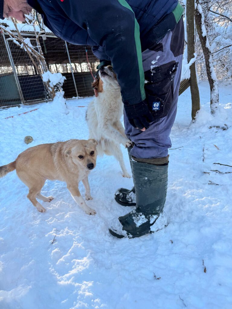 20260108-fotos-inessa-5