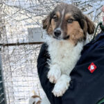 20260108-fotos-juliana-6