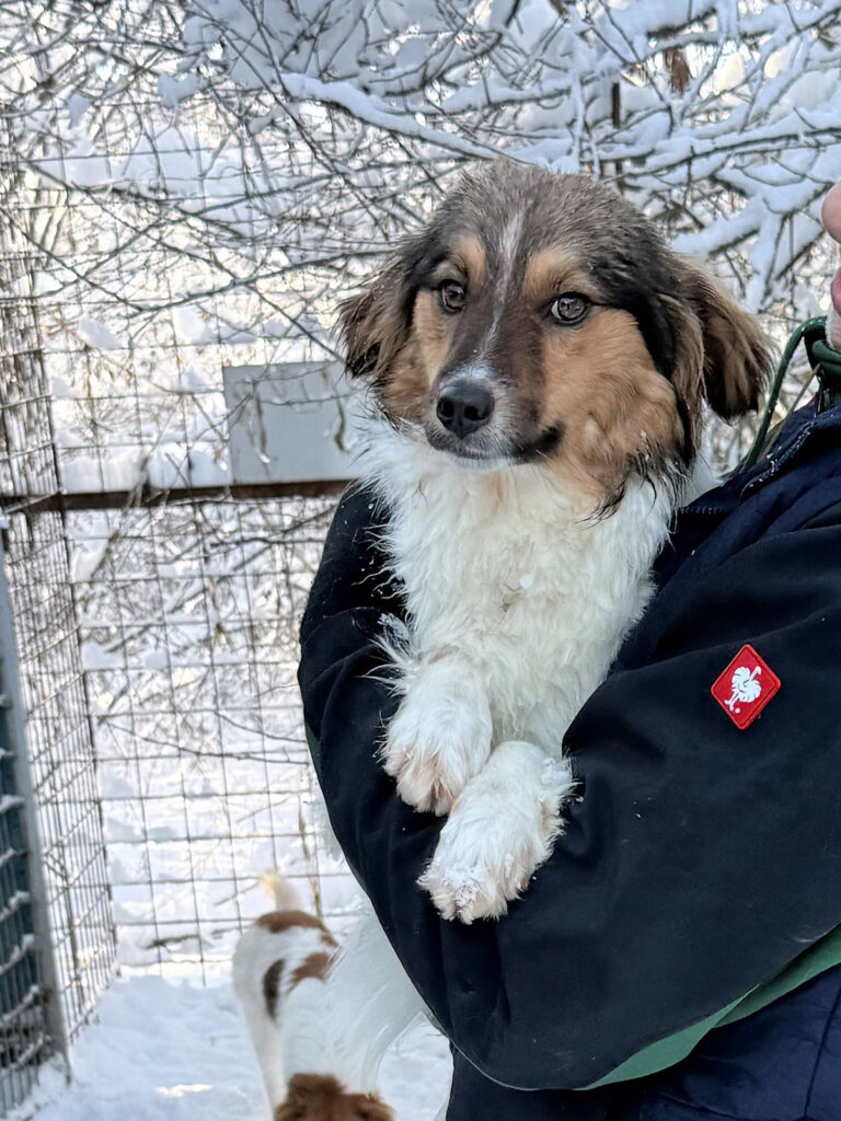 20260108-fotos-juliana-6