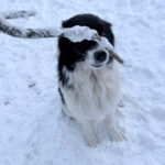 20260108-fotos-ledo-01