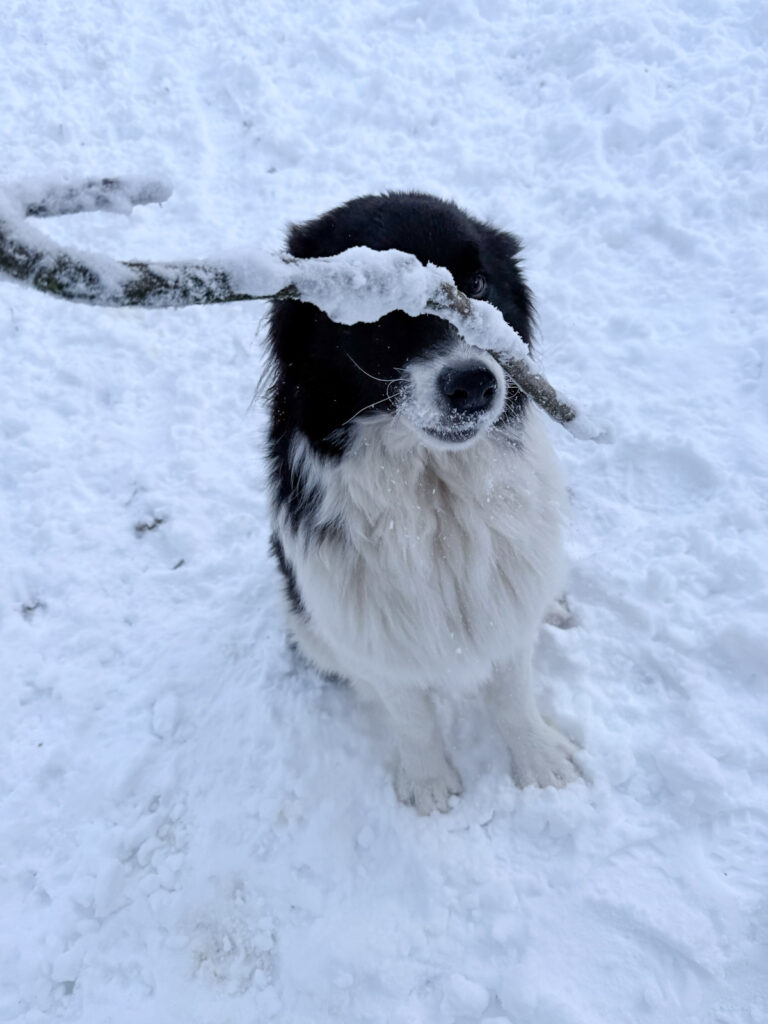 20260108-fotos-ledo-01