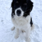 20260108-fotos-ledo-02