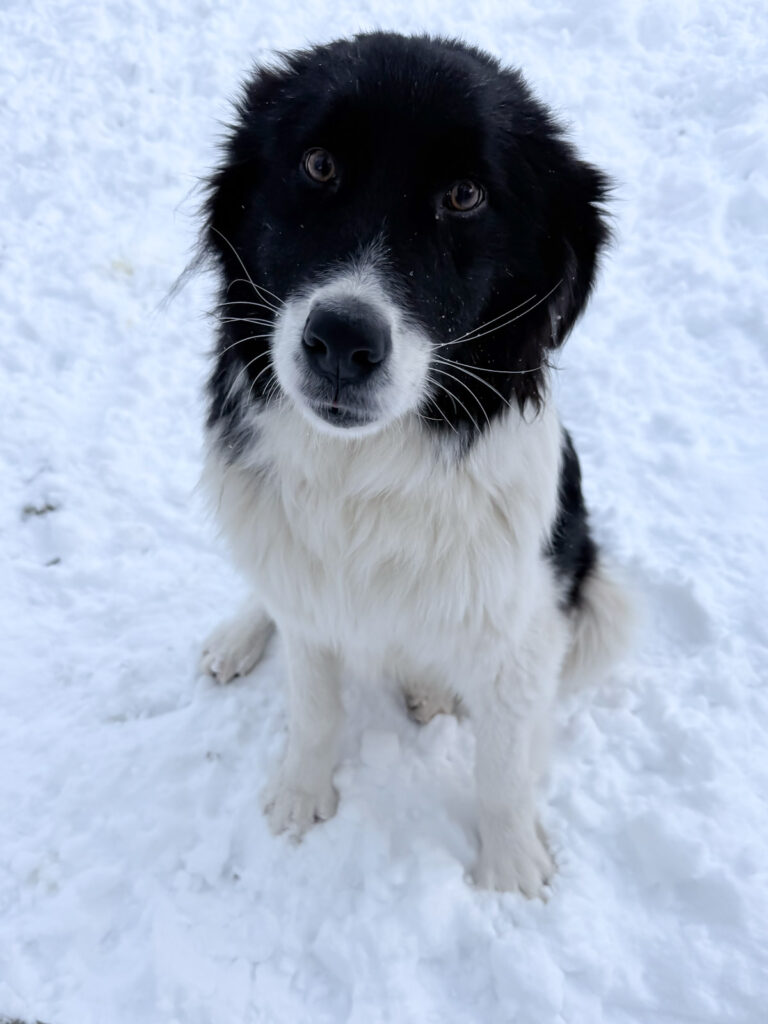 20260108-fotos-ledo-02