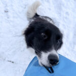 20260108-fotos-ledo-03