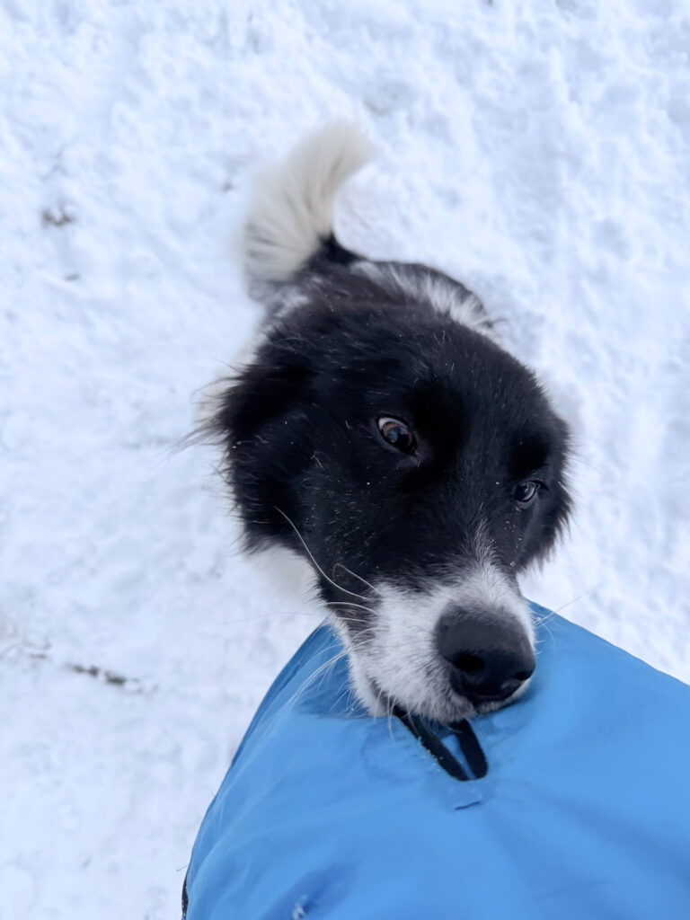 20260108-fotos-ledo-03