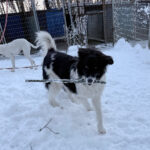 20260108-fotos-ledo-04