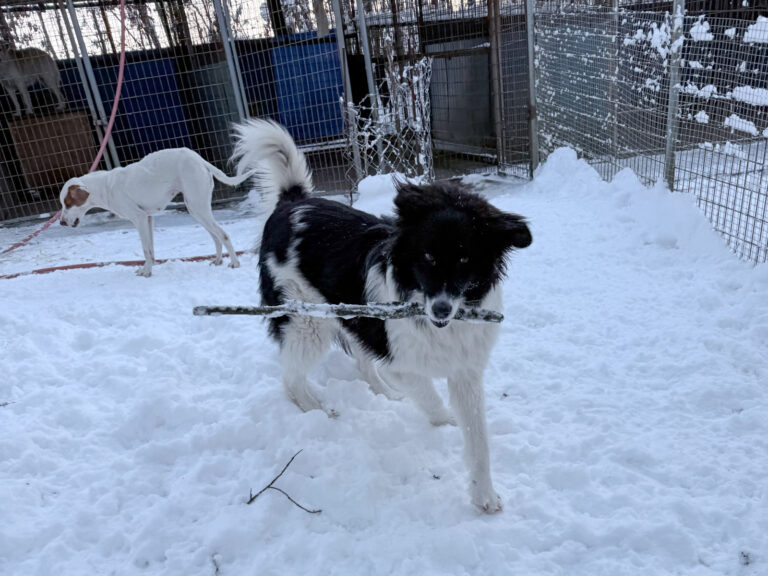 20260108-fotos-ledo-04