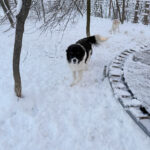 20260108-fotos-ledo-05