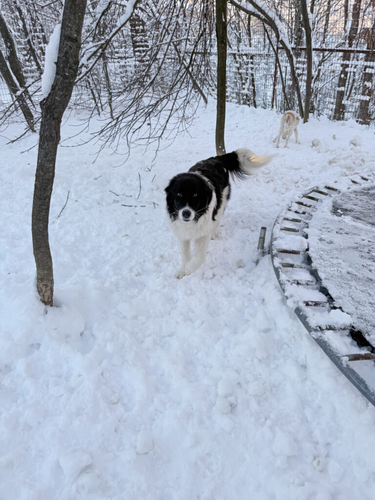 20260108-fotos-ledo-05