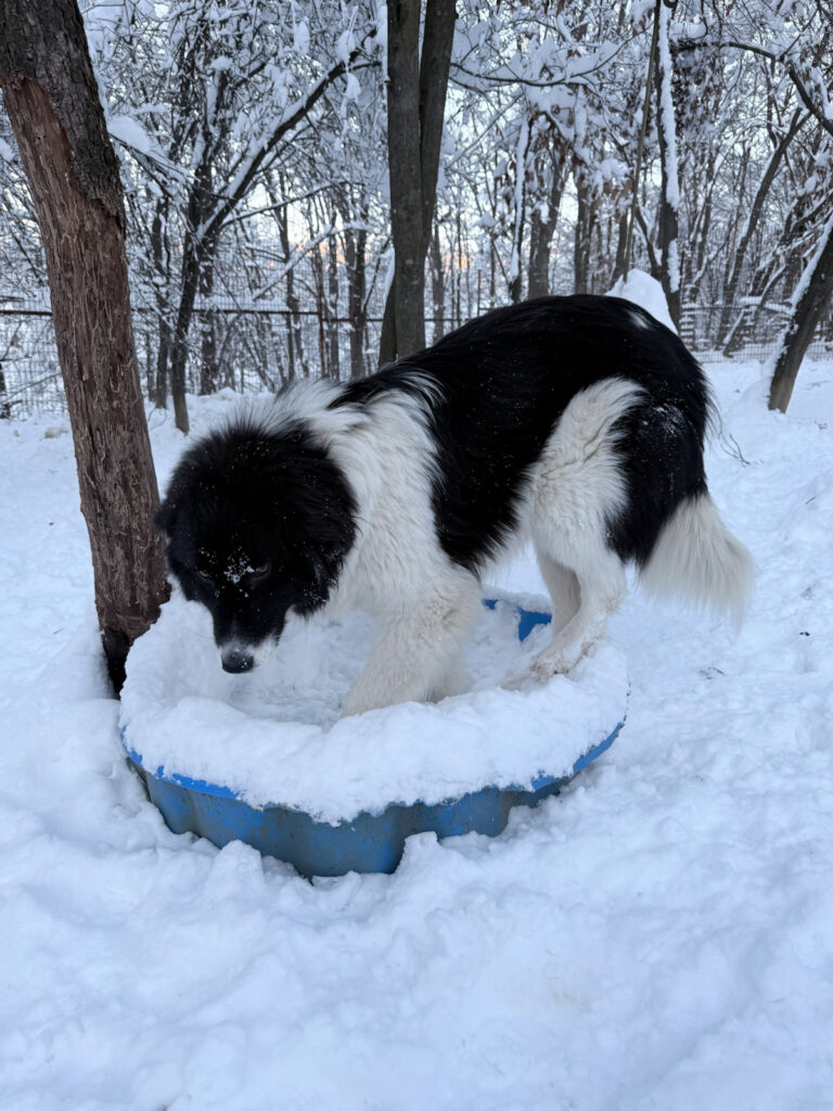 20260108-fotos-ledo-08