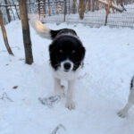 20260108-fotos-ledo-09