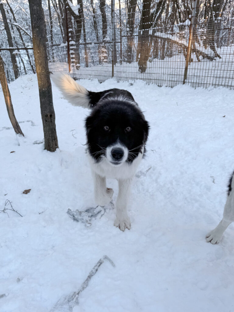 20260108-fotos-ledo-09