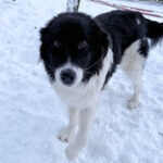 20260108-fotos-ledo-10