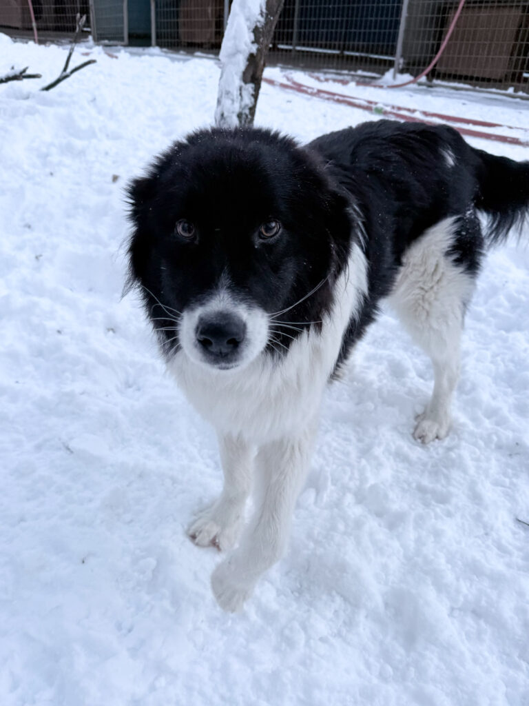 20260108-fotos-ledo-10