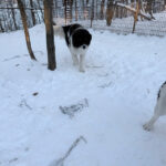 20260108-fotos-ledo-11