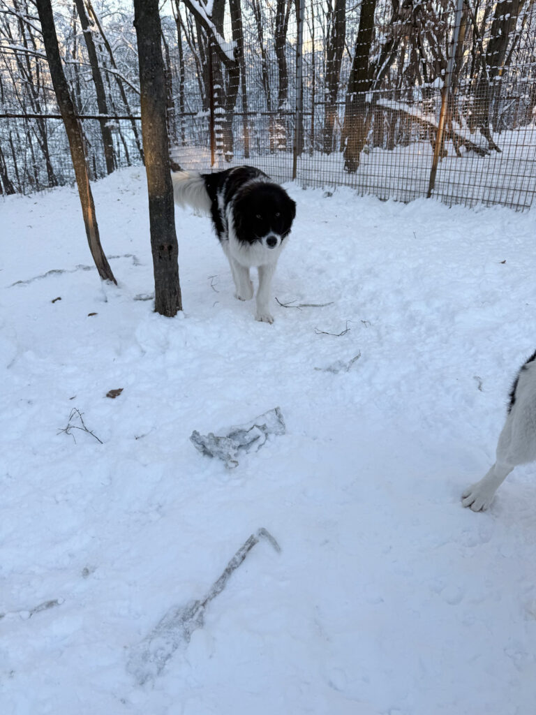 20260108-fotos-ledo-11