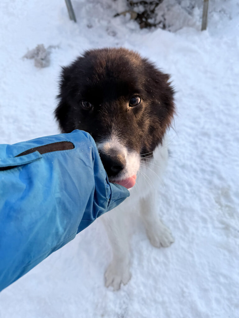 20260108-fotos-ledo-12