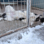 20260108-fotos-ledo-13