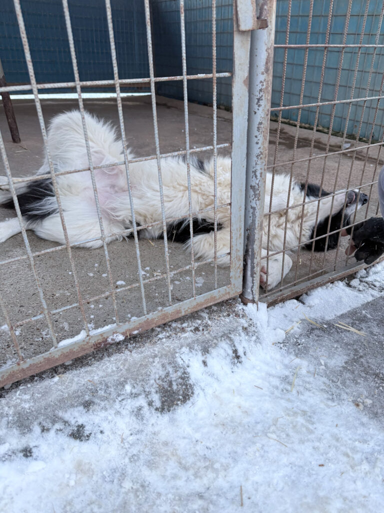 20260108-fotos-ledo-13