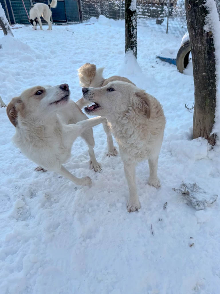 20260108-fotos-lima-1