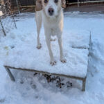 20260108-fotos-lima-4