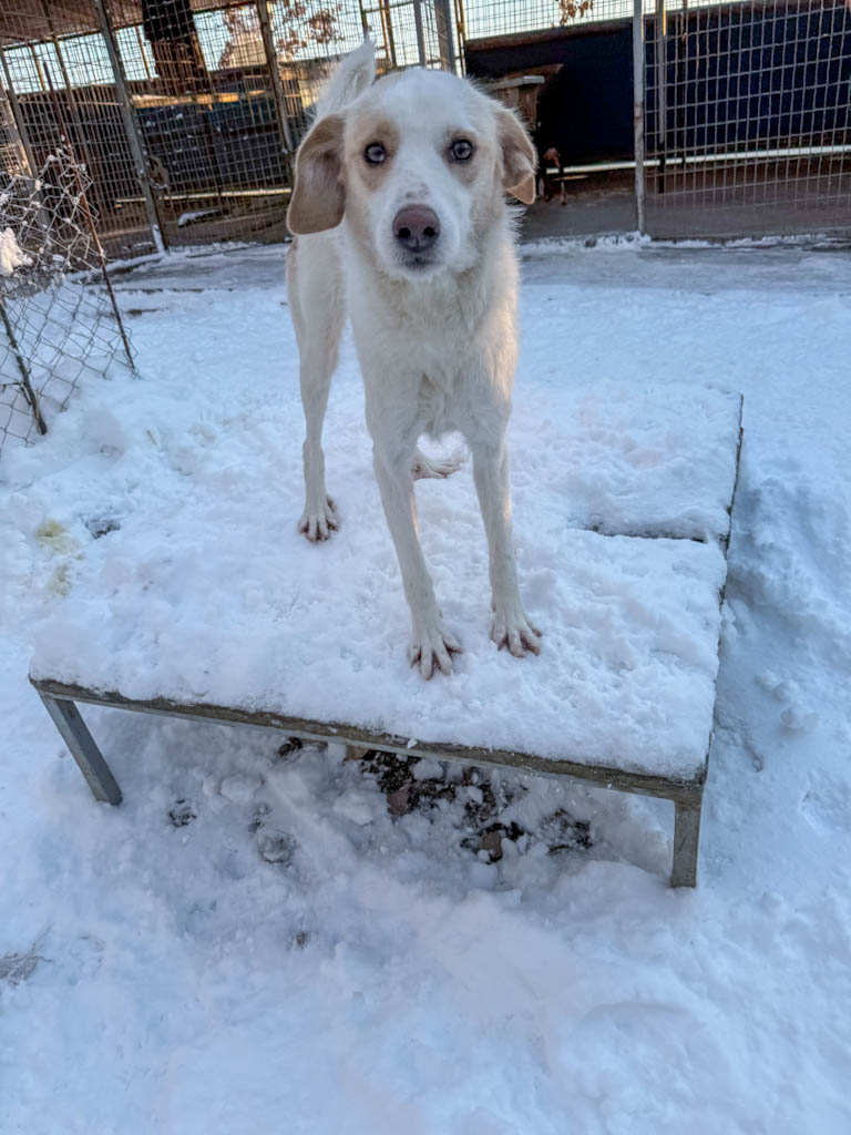 20260108-fotos-lima-4