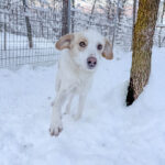 20260108-fotos-lima-5