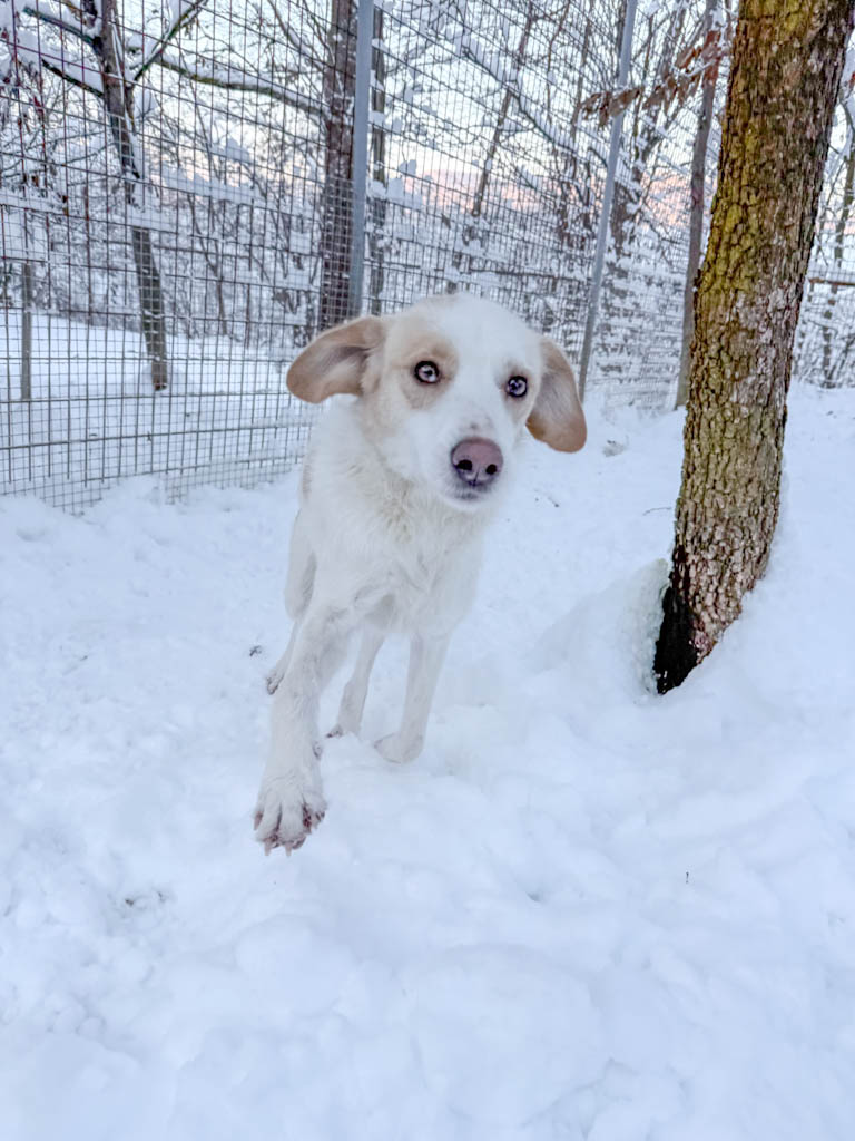 20260108-fotos-lima-5