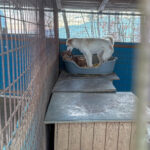 20260108-fotos-lima-6