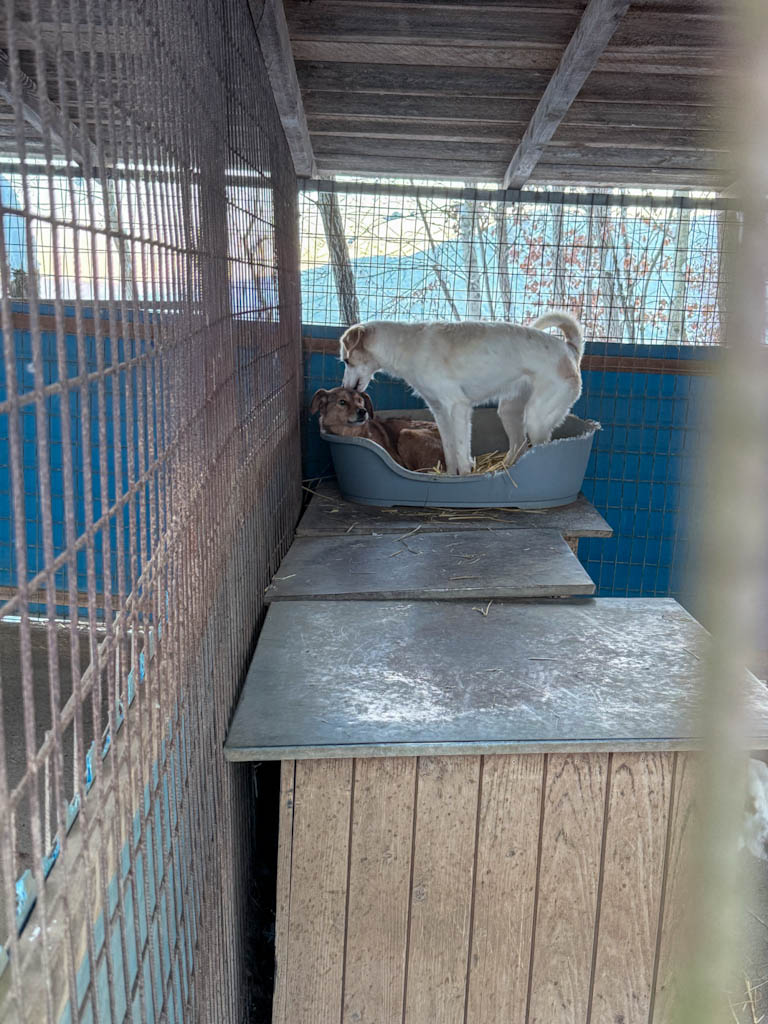 20260108-fotos-lima-6