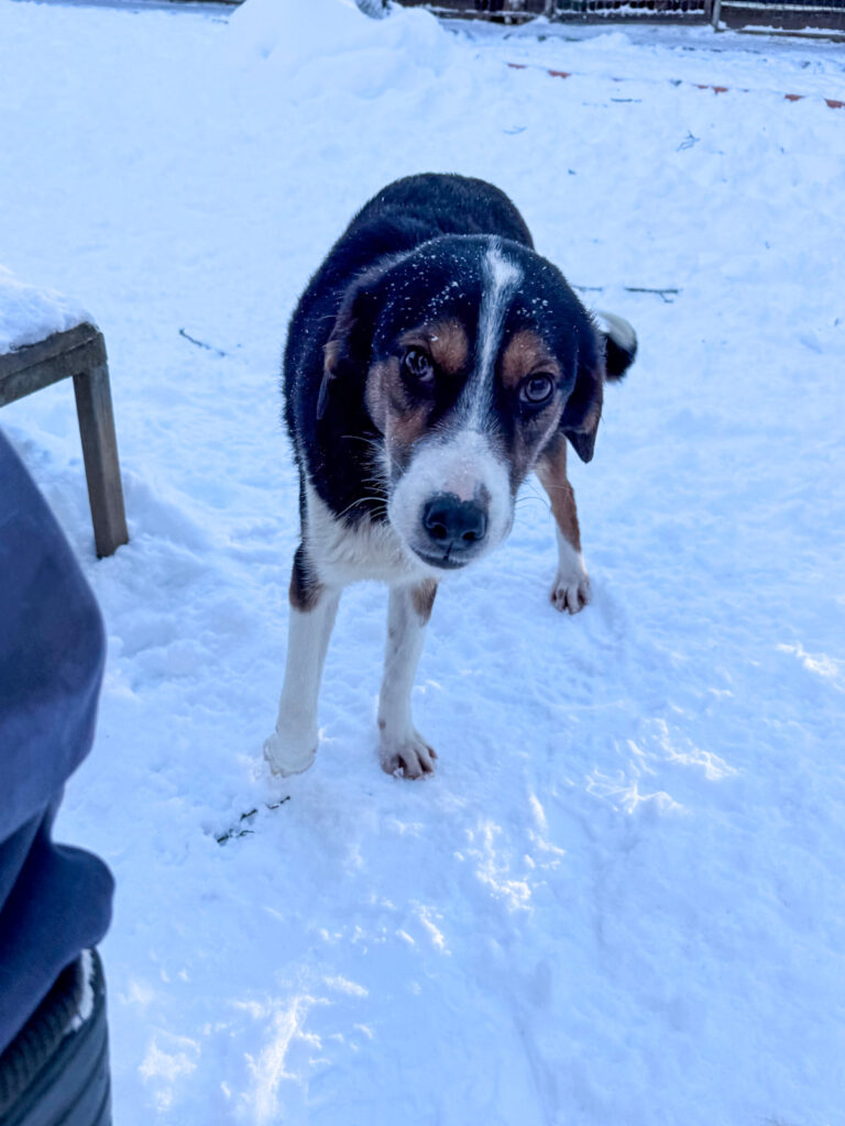 20260108-fotos-loara-02