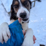 20260108-fotos-loara-03