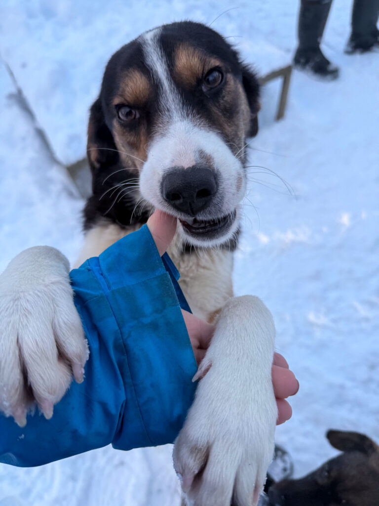 20260108-fotos-loara-03