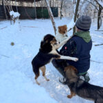 20260108-fotos-loara-04