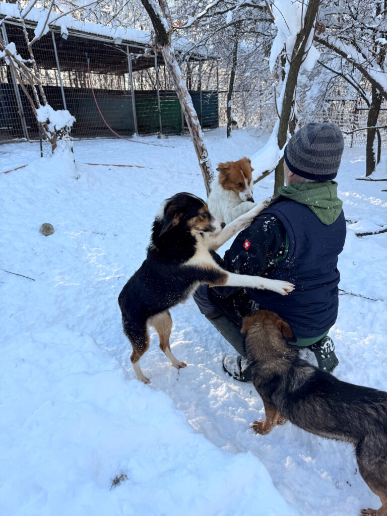 20260108-fotos-loara-04