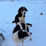 20260108-fotos-loara-07