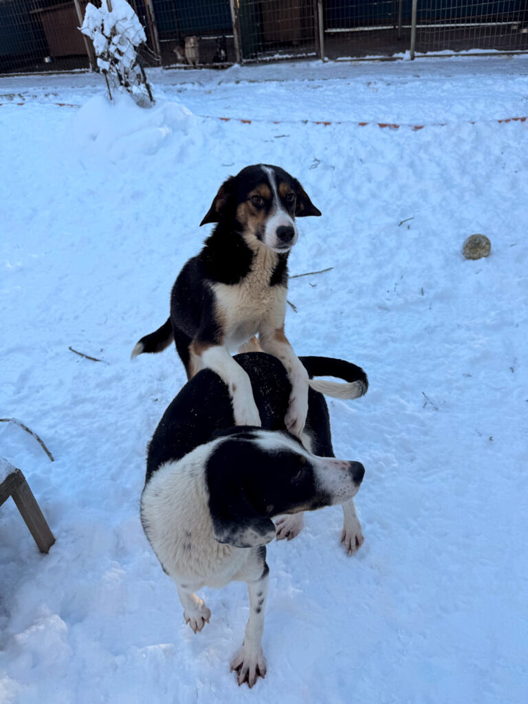 20260108-fotos-loara-07