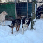 20260108-fotos-loara-08