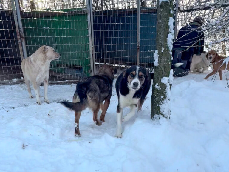 20260108-fotos-loara-08