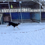 20260108-fotos-loara-09