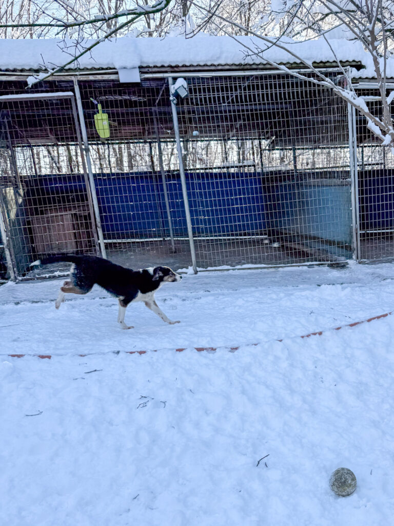 20260108-fotos-loara-09