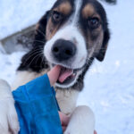 20260108-fotos-loara-10