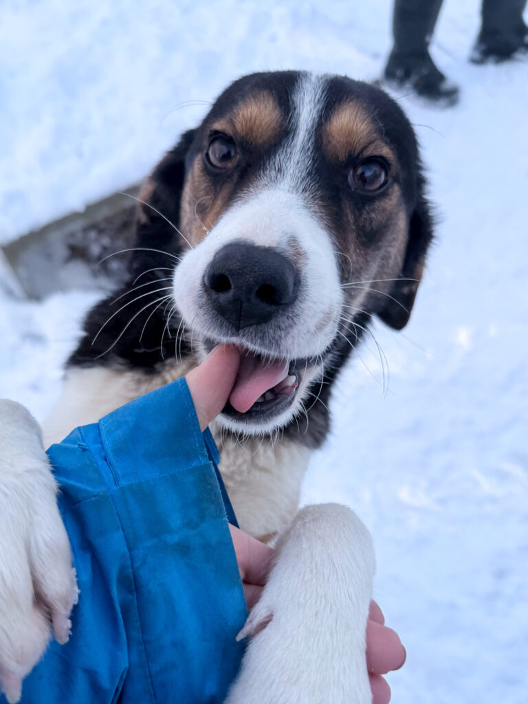 20260108-fotos-loara-10