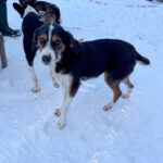 20260108-fotos-loara-11