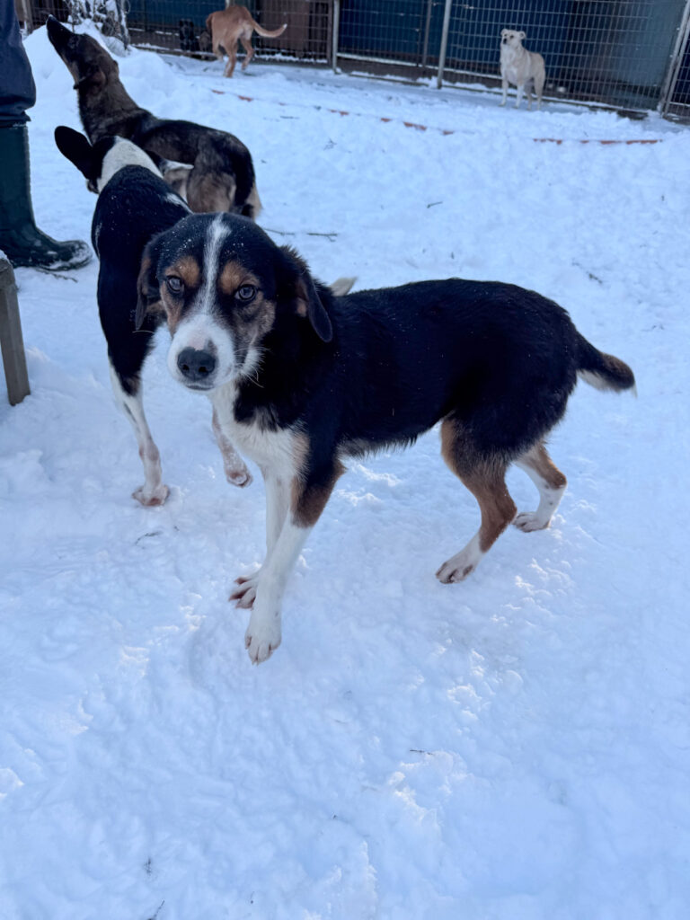 20260108-fotos-loara-11