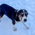 20260108-fotos-loara-12