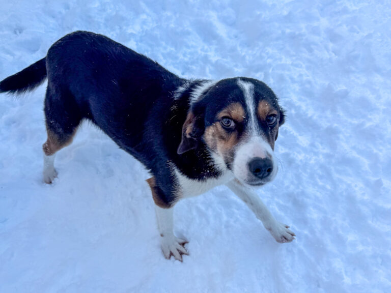 20260108-fotos-loara-12