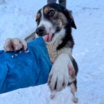 20260108-fotos-loara-13