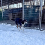 20260108-fotos-loara-14