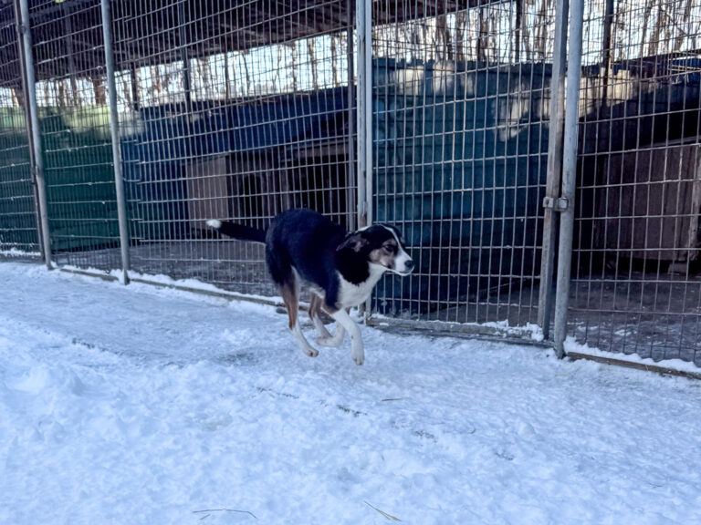 20260108-fotos-loara-14